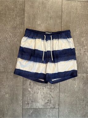 Men’s American Eagle Swim Shorts Blue White Stripe 5” Inseam Small EUC
